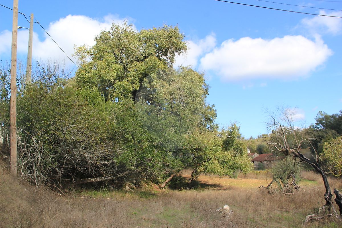Moradia T2 à venda em Santiago da Guarda, Ansião — foto 10