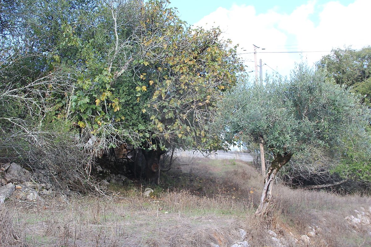 Moradia T2 à venda em Santiago da Guarda, Ansião — foto 20