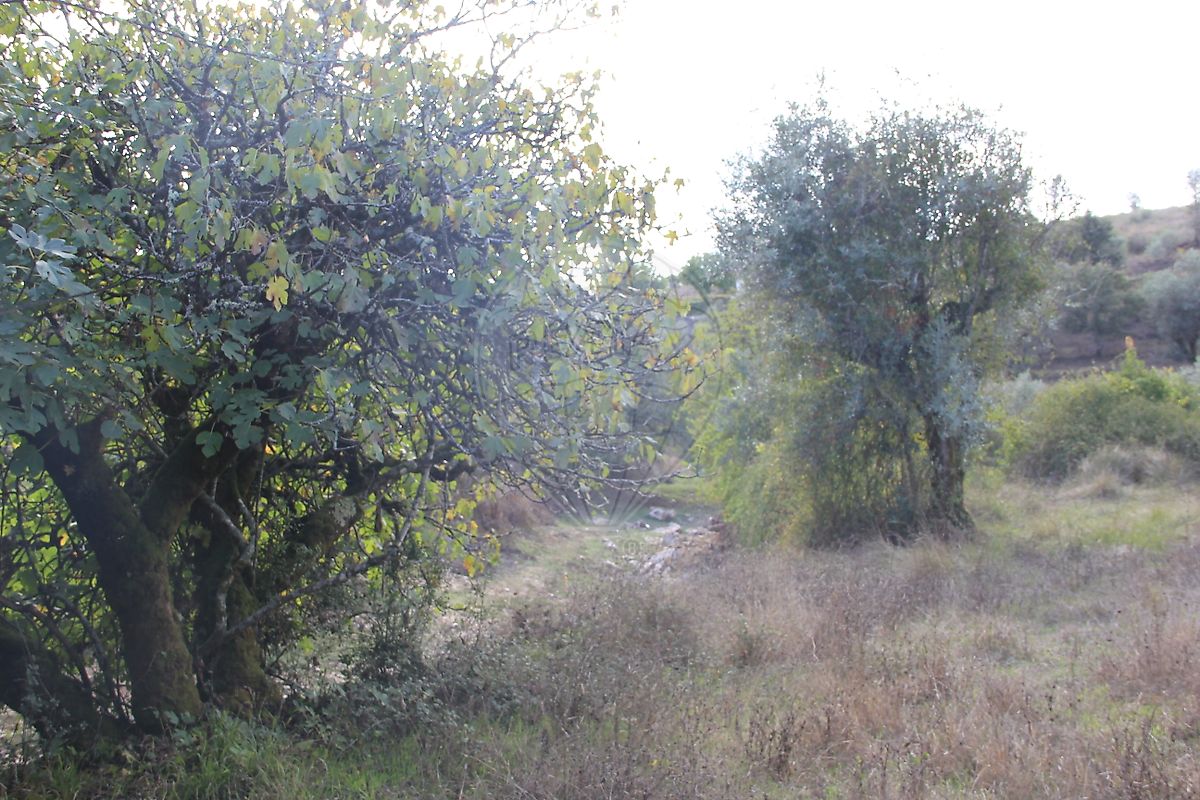 Moradia T2 à venda em Santiago da Guarda, Ansião — foto 27