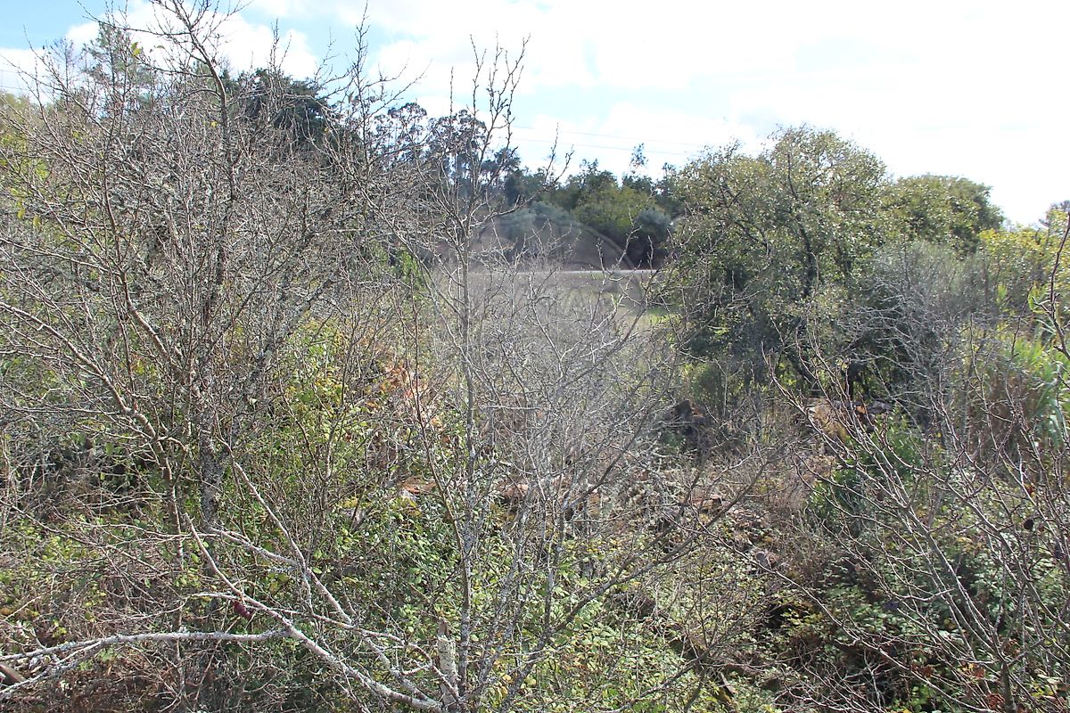 Moradia T2 à venda em Santiago da Guarda, Ansião — foto 26