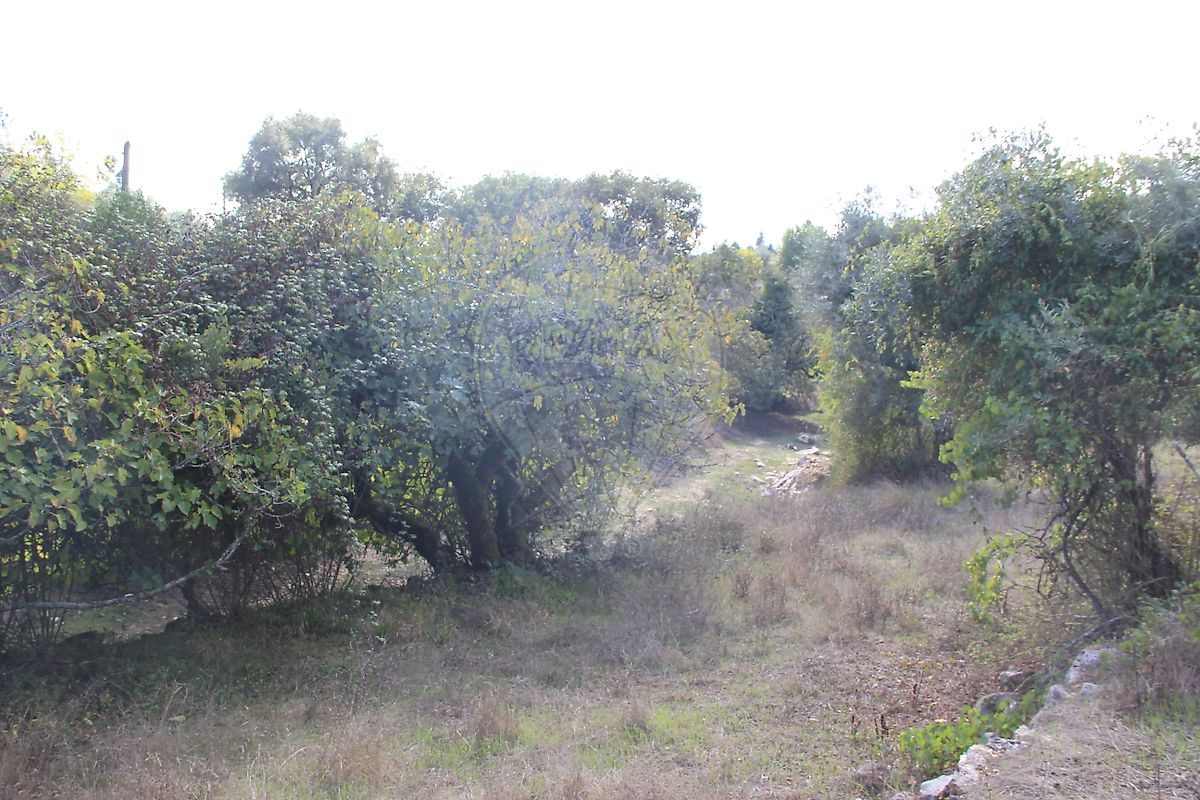 Moradia T2 à venda em Santiago da Guarda, Ansião — foto 15