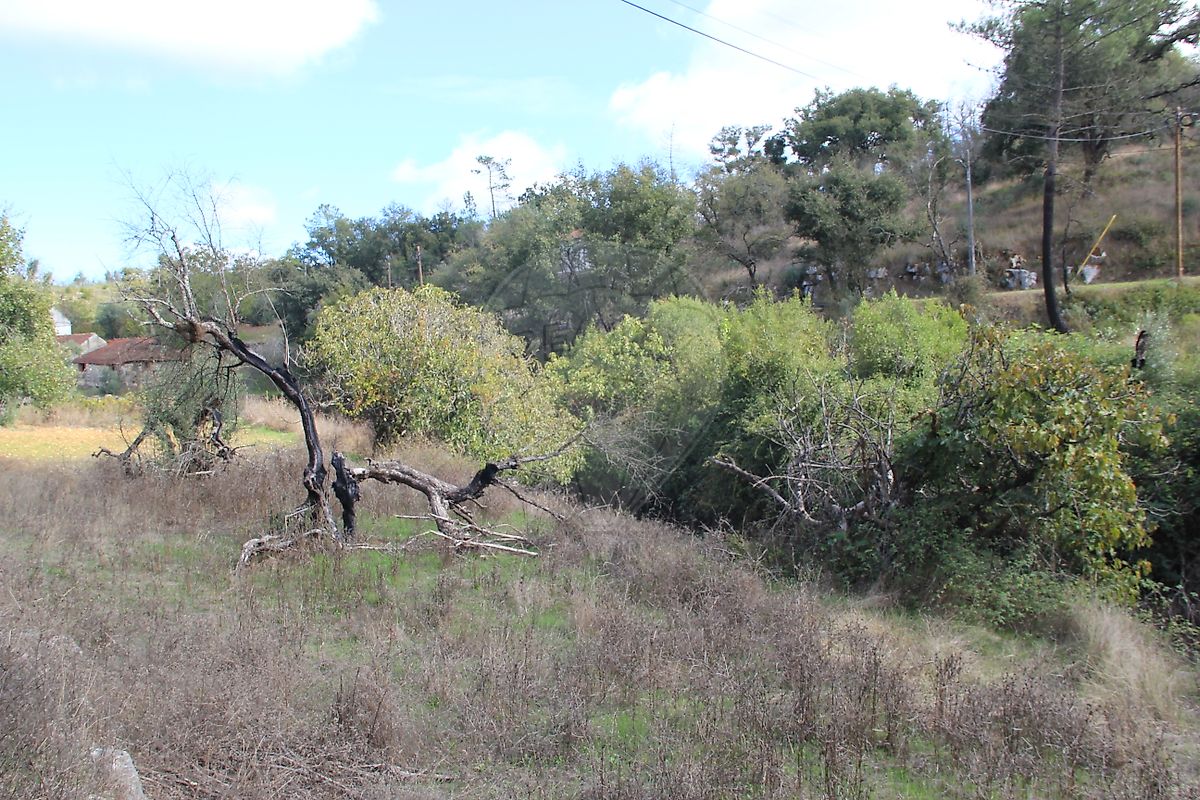 Moradia T2 à venda em Santiago da Guarda, Ansião — foto 14