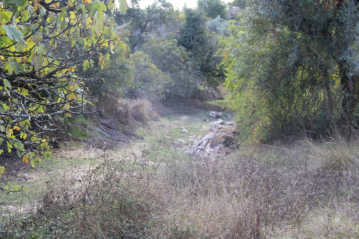 Moradia T2 à venda em Santiago da Guarda, Ansião — foto 19