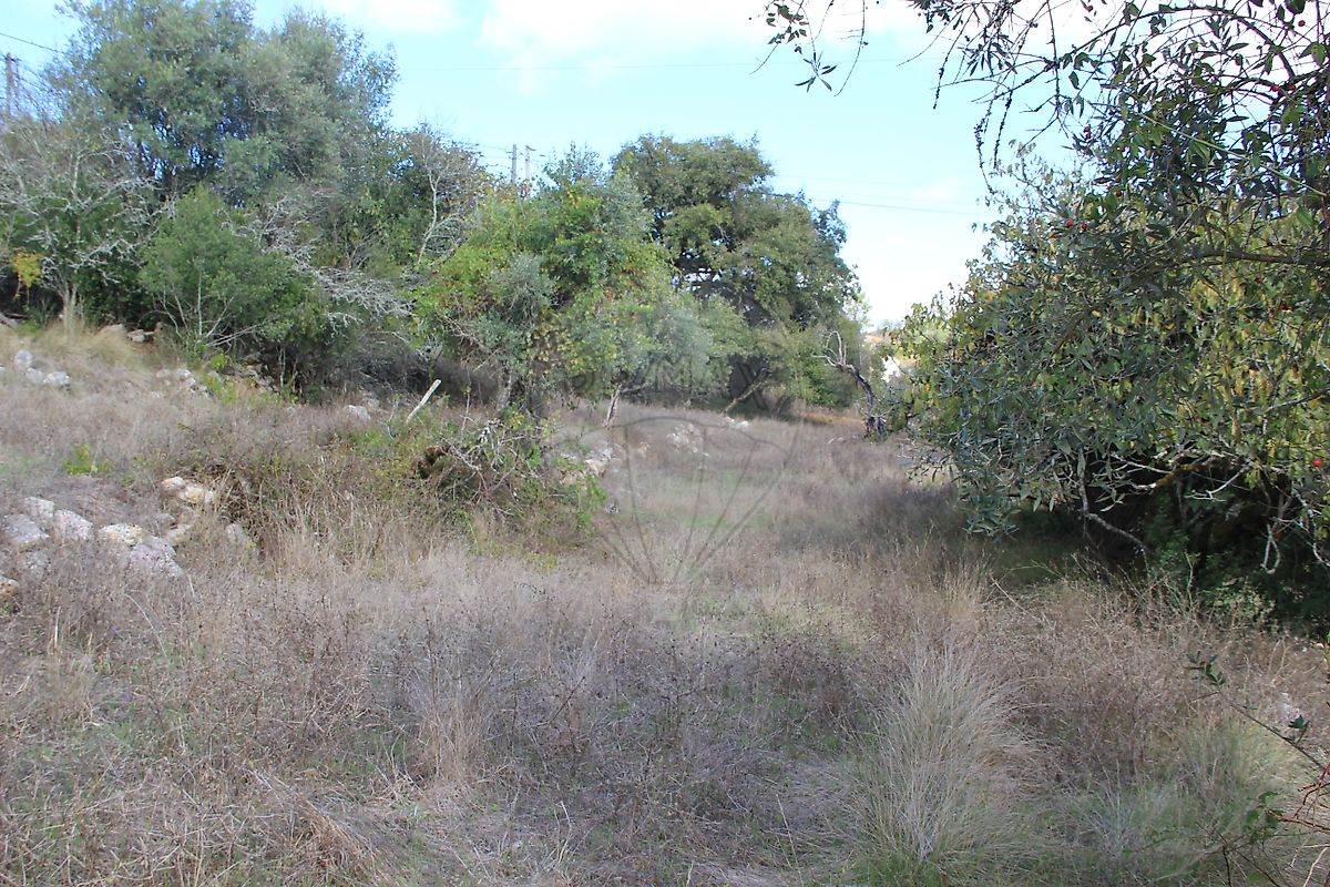 Moradia T2 à venda em Santiago da Guarda, Ansião — foto 18