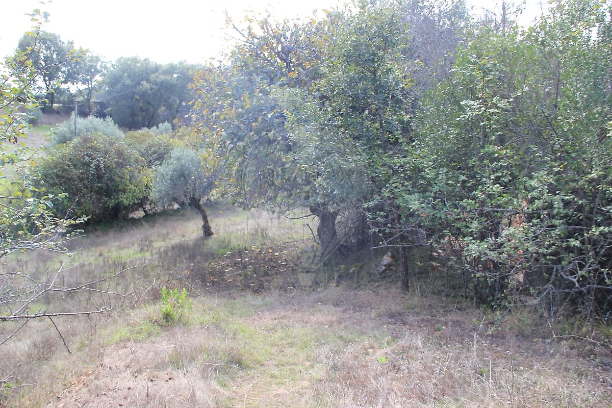 Moradia T2 à venda em Santiago da Guarda, Ansião — foto 9