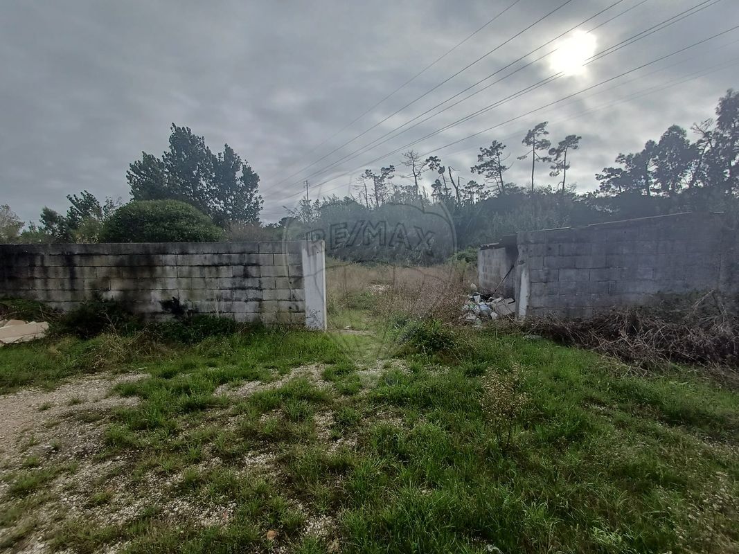 listing-picture-0