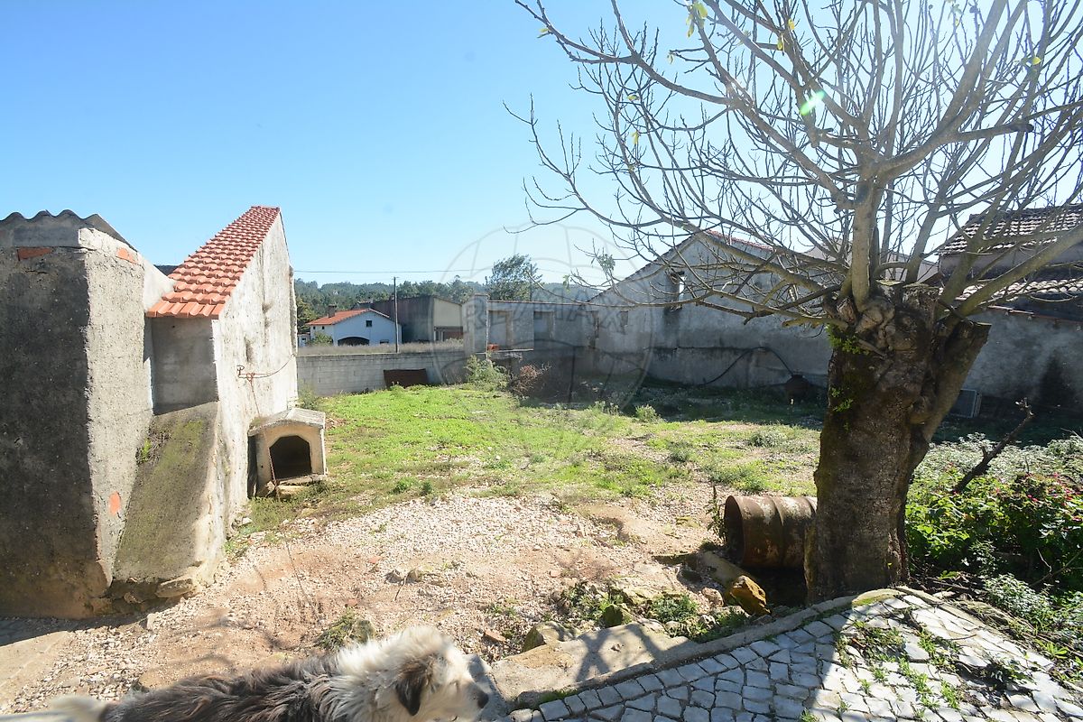 Moradia T3 à venda em Maçãs de dona Maria, Alvaiázere — foto 10