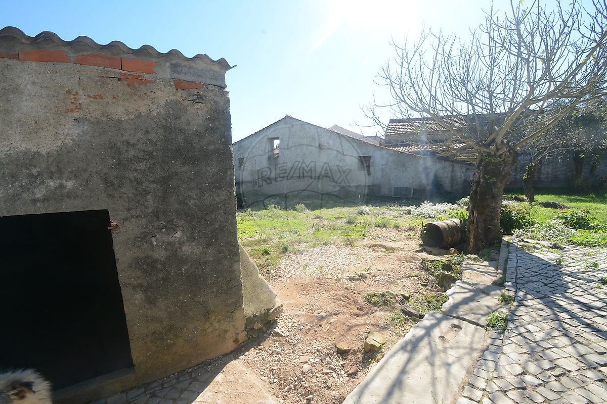 Moradia T3 à venda em Maçãs de dona Maria, Alvaiázere — foto 14