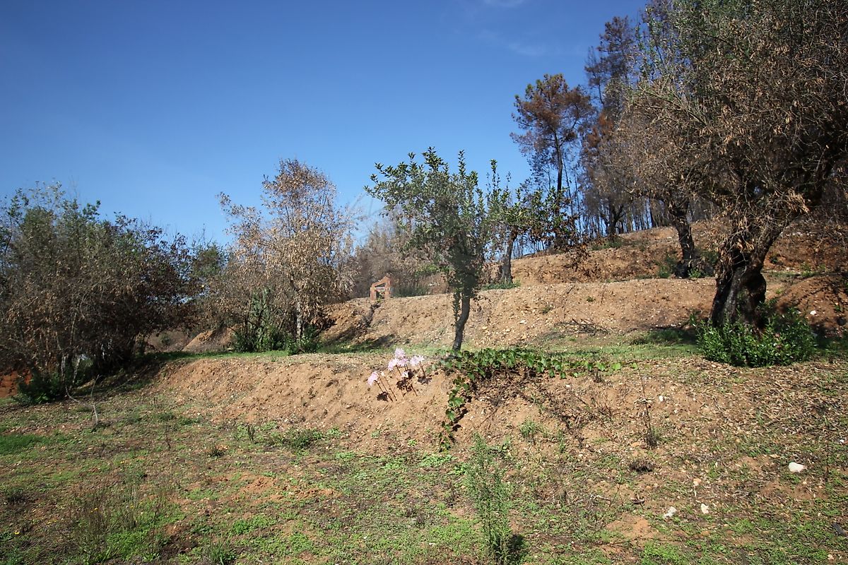 Moradia T2 à venda em Pousaflores, Ansião — foto 10