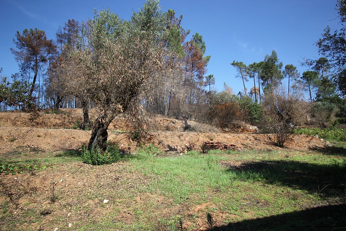 Moradia T2 à venda em Pousaflores, Ansião — foto 8