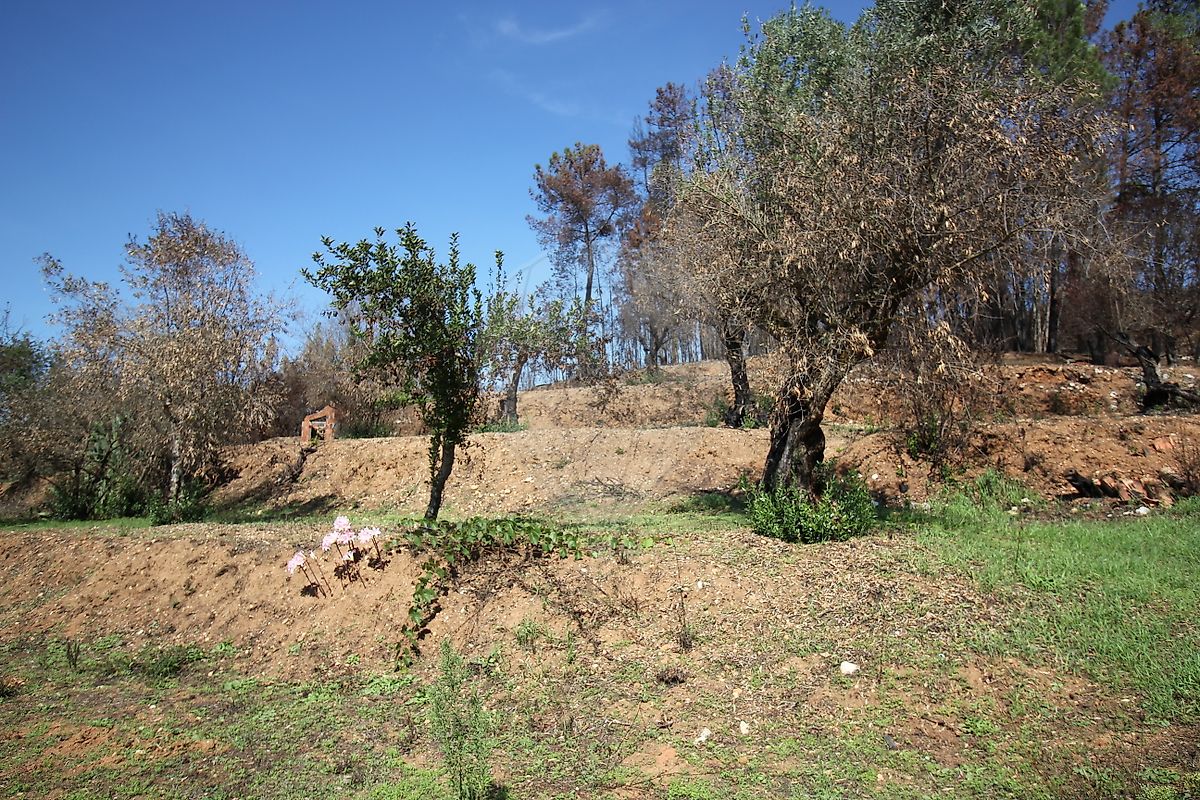 Moradia T2 à venda em Pousaflores, Ansião — foto 9