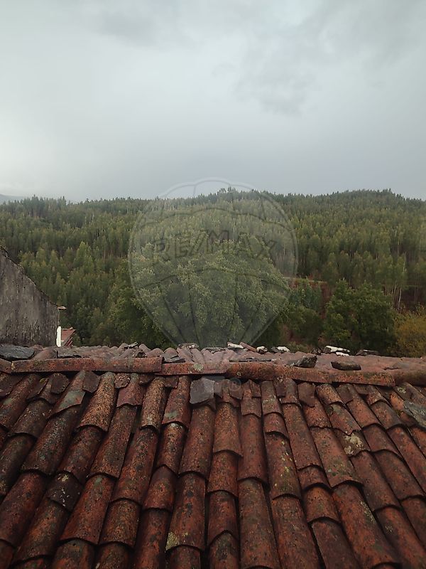 Moradia T3 à venda em Aguda, Figueiró dos Vinhos — foto 22