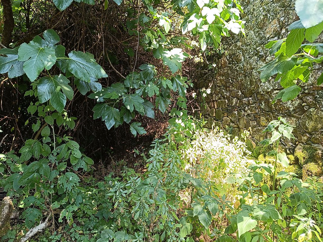 Moradia T3 à venda em Figueiró dos Vinhos e Bairradas, Figueiró dos Vinhos — foto 20