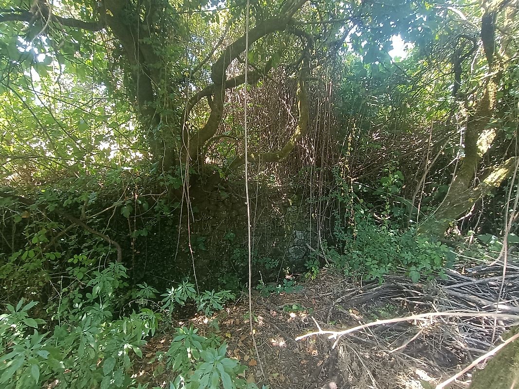 Moradia T3 à venda em Figueiró dos Vinhos e Bairradas, Figueiró dos Vinhos — foto 19