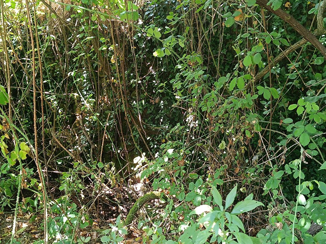 Moradia T3 à venda em Figueiró dos Vinhos e Bairradas, Figueiró dos Vinhos — foto 21