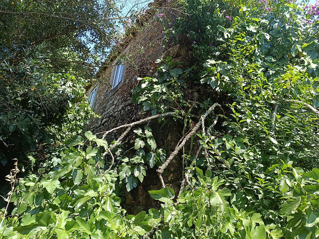 Moradia T3 à venda em Figueiró dos Vinhos e Bairradas, Figueiró dos Vinhos — foto 22