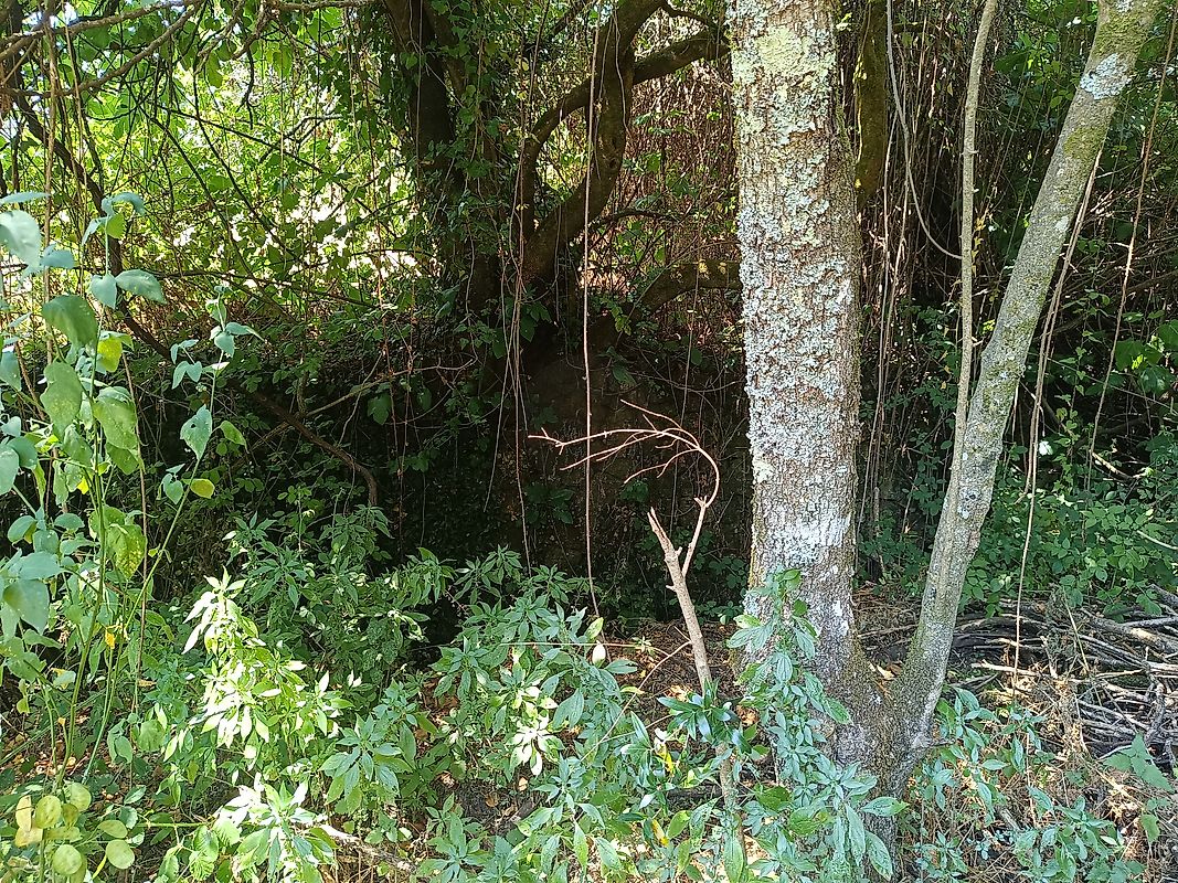 Moradia T3 à venda em Figueiró dos Vinhos e Bairradas, Figueiró dos Vinhos — foto 23
