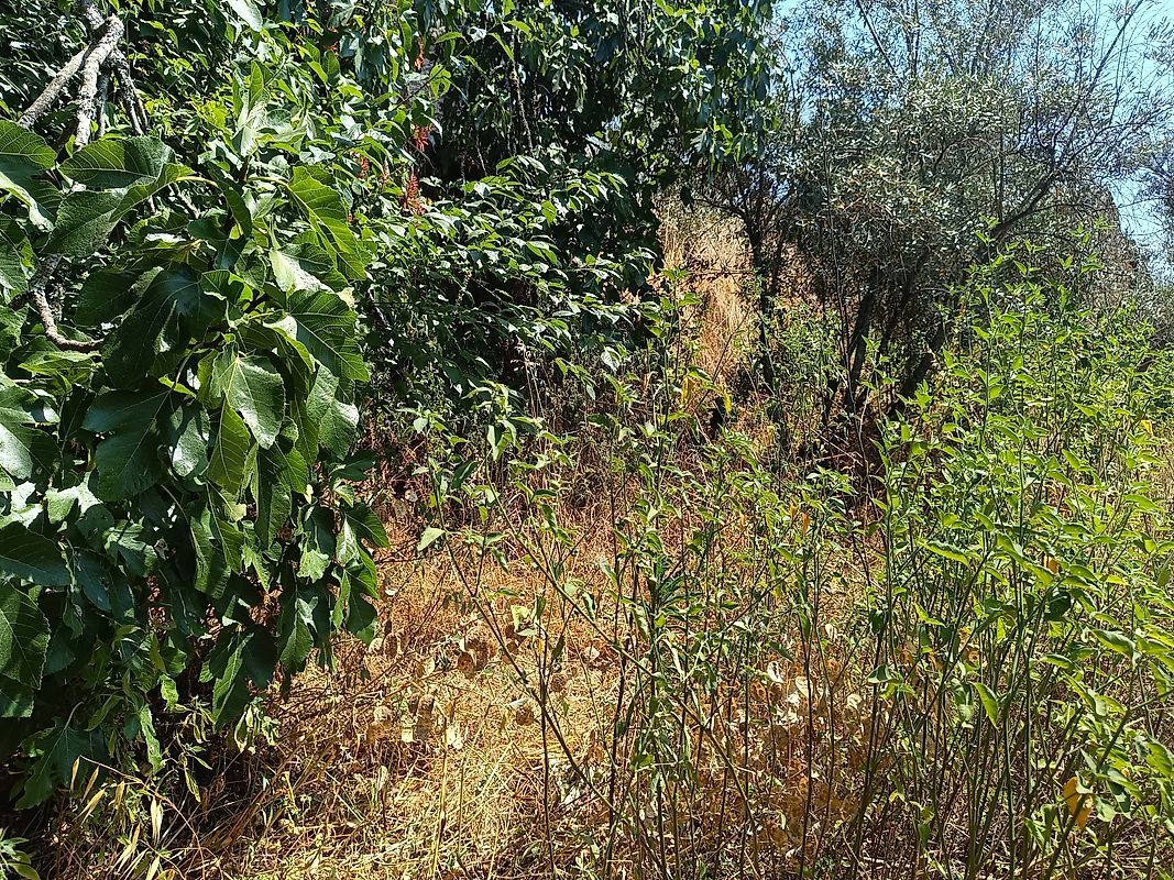Moradia T3 à venda em Figueiró dos Vinhos e Bairradas, Figueiró dos Vinhos — foto 24