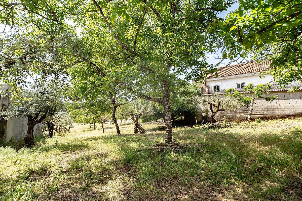 Moradia T3 à venda em Alvorge, Ansião — foto 32