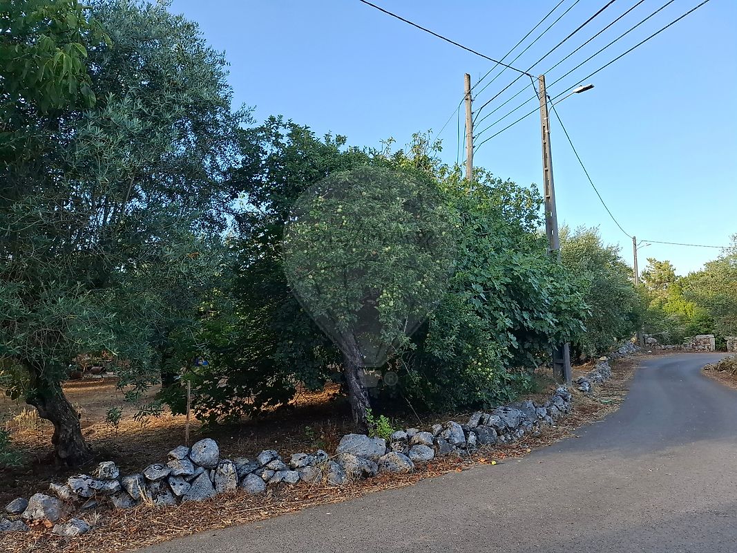 Terreno  para venda