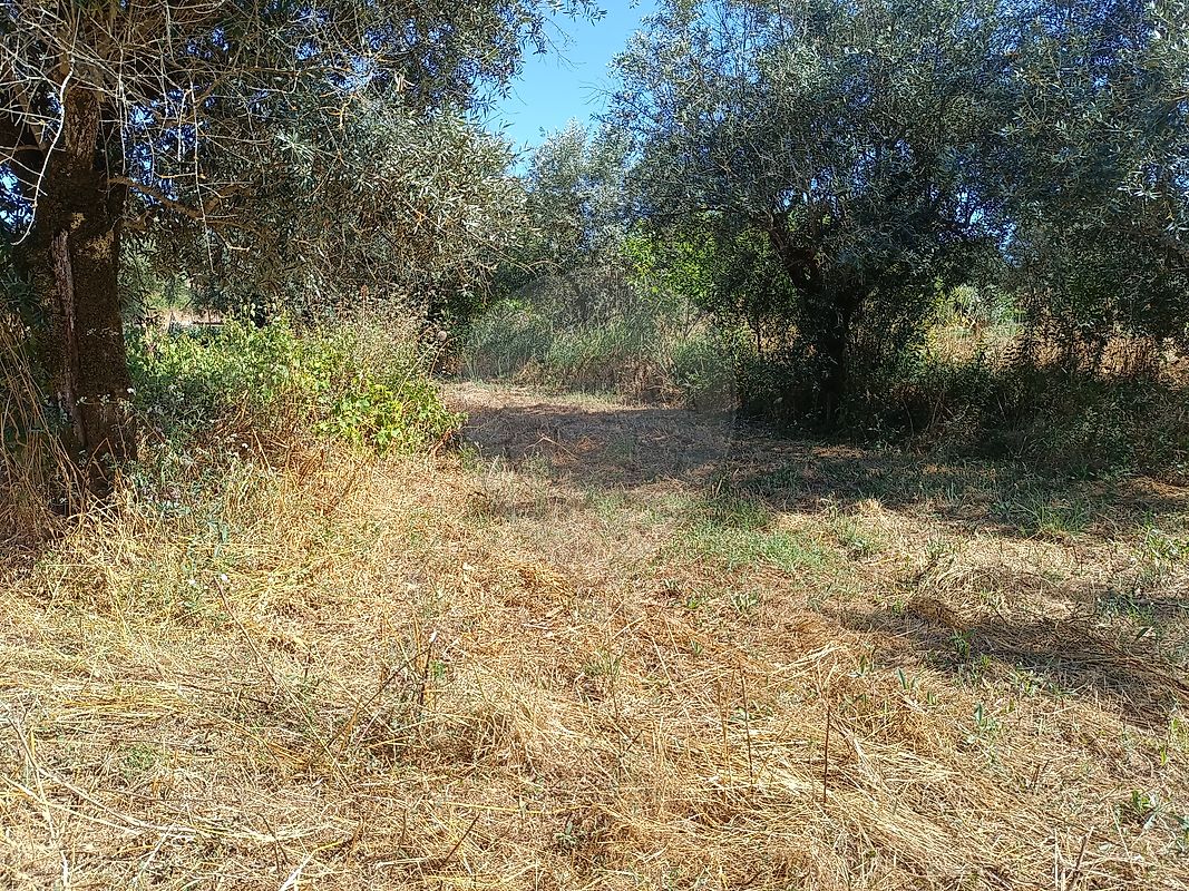 Terreno  para venda