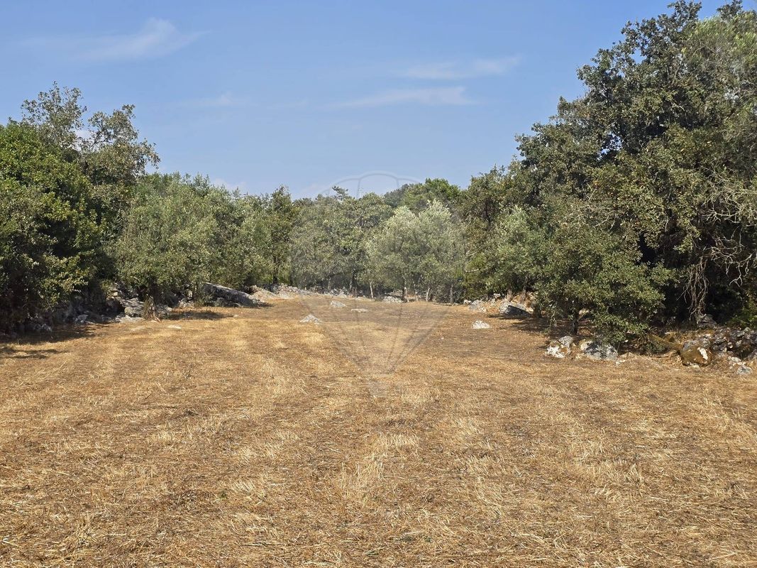 Terreno para venda