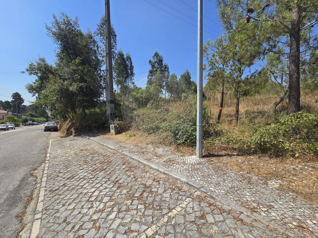Terreno  para venda