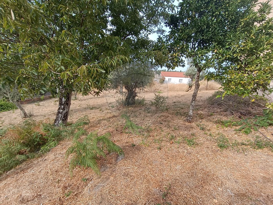 Moradia T2 à venda em Graça, Pedrógão Grande — foto 9