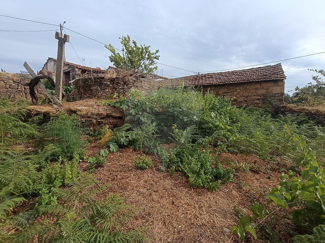Moradia T2 à venda em Graça, Pedrógão Grande — foto 6
