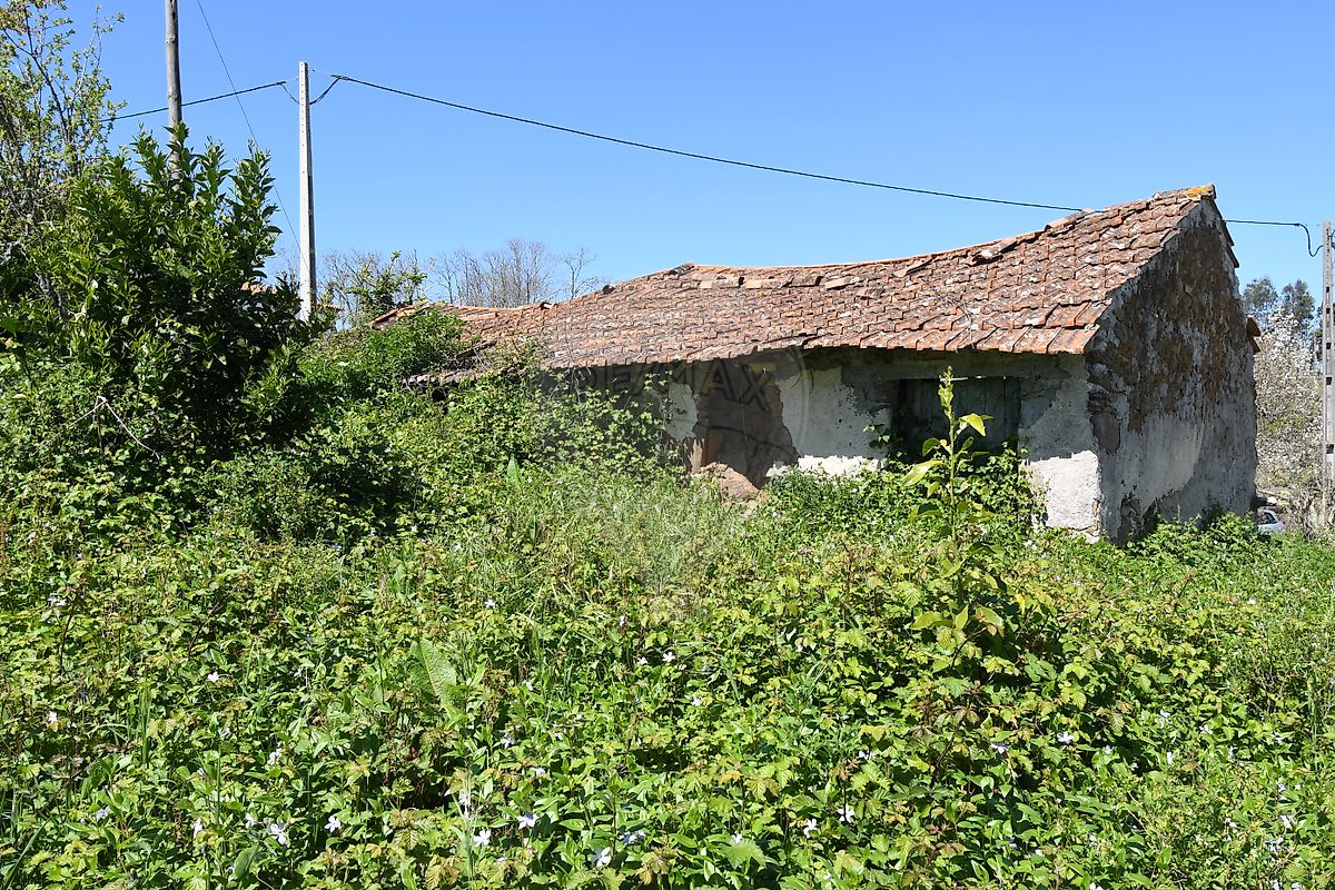 Terreno - Beco, Ferreira do Zêzere, Santarém