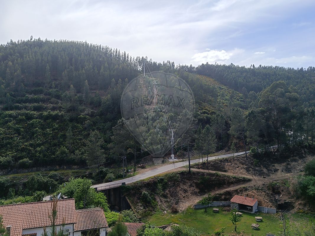 Terreno - Pessegueiro, Pampilhosa da Serra, Coimbra