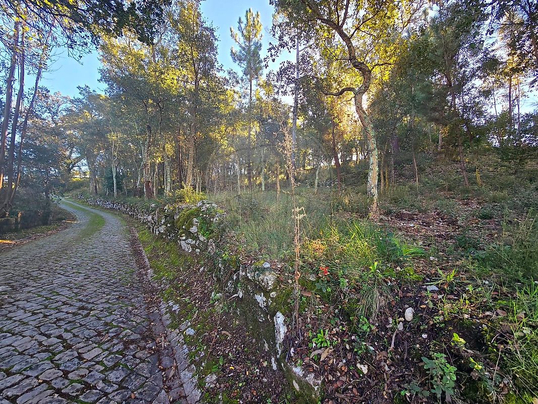 Terreno - Ansião, Ansião, Leiria