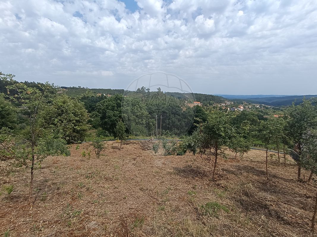 Terreno - Figueiró dos Vinhos e Bairradas, Figueiró dos Vinhos, Leiria