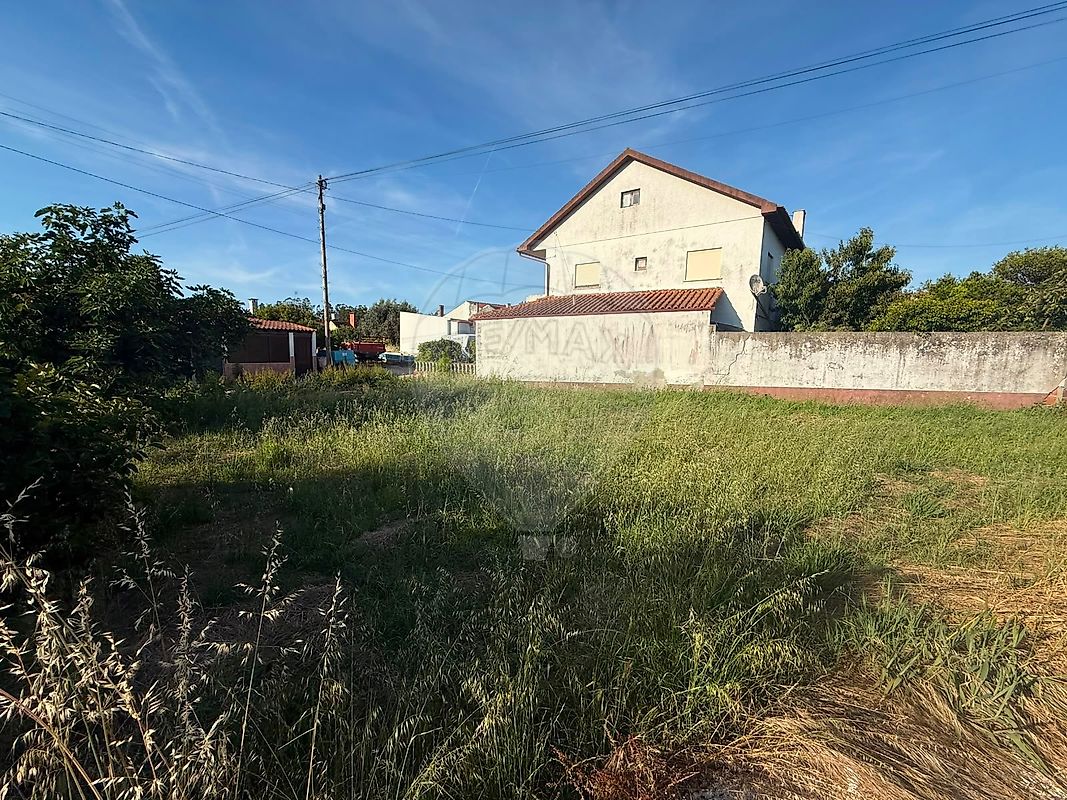 Terreno - Almagreira, Pombal, Leiria