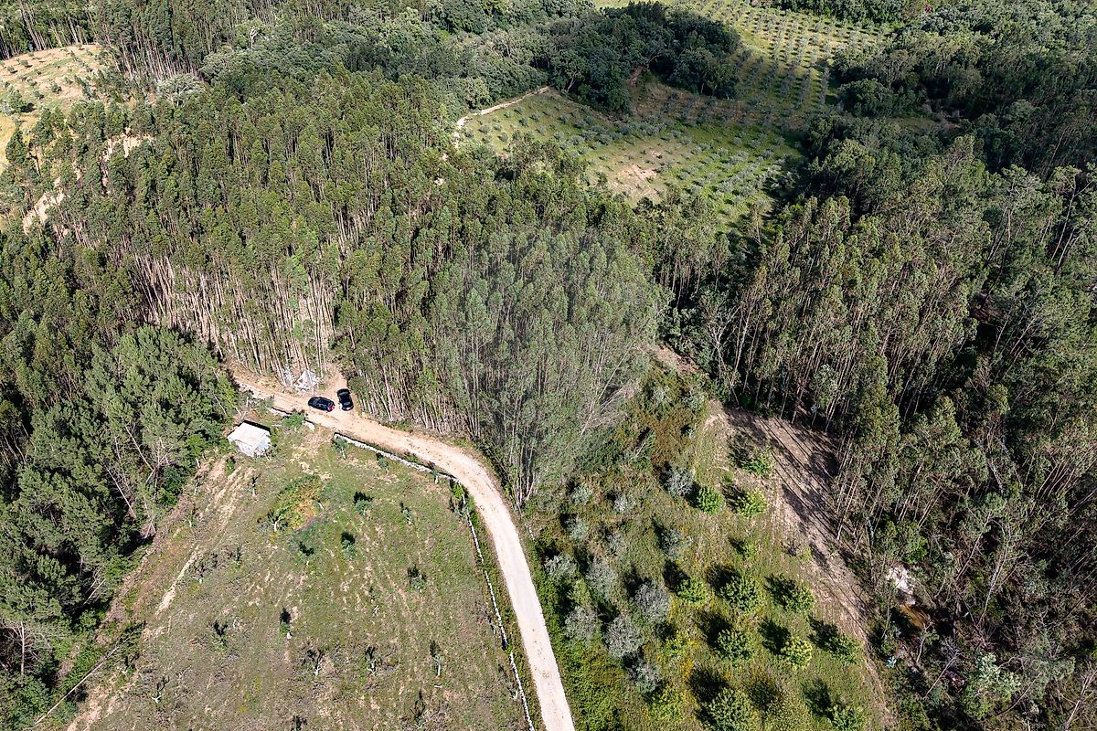 Terreno - Alvorge, Ansião, Leiria