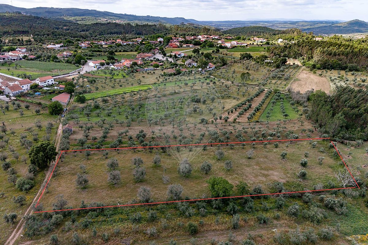 Terreno - Alvorge, Ansião, Leiria