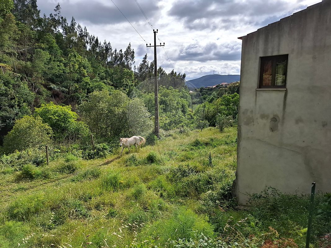 Moradia T3 à venda em Espinhal, Penela — foto 16