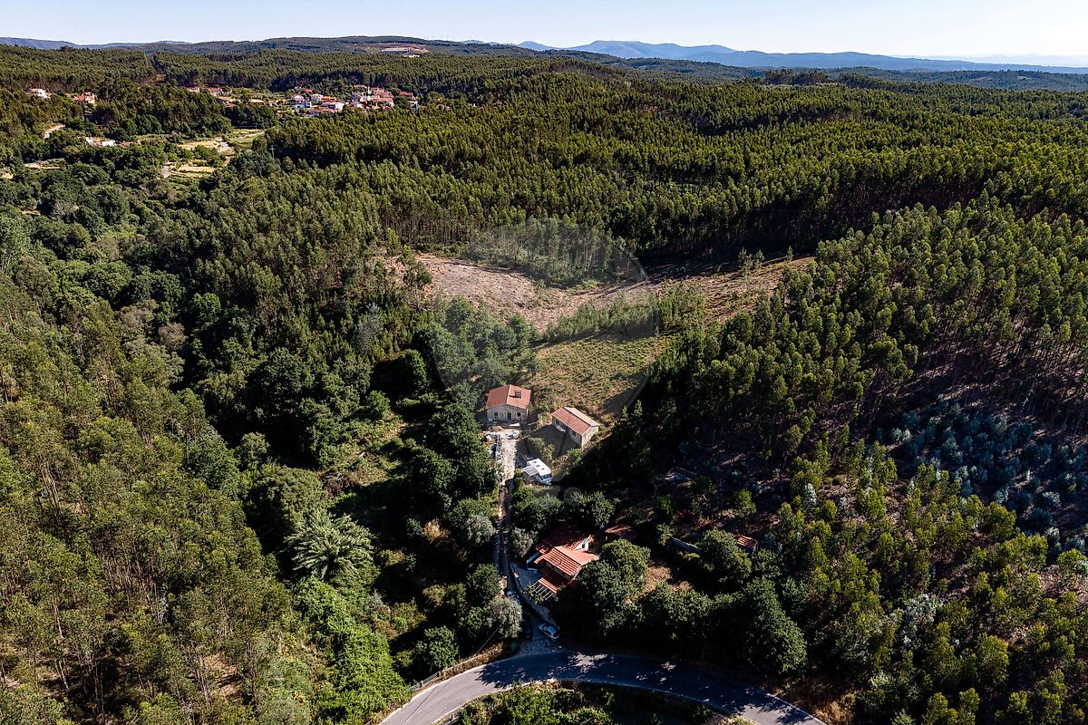 Moradia T3 à venda em Figueiró dos Vinhos e Bairradas, Figueiró dos Vinhos — foto 14