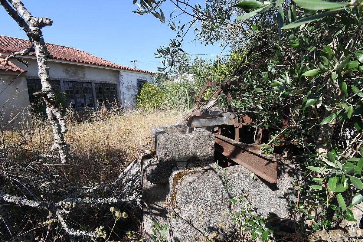 Moradia T4 à venda em Pelmá, Alvaiázere — foto 25