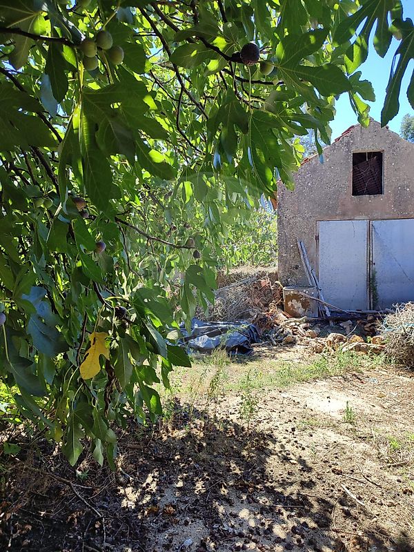 Moradia T3 à venda em Avelar, Ansião — foto 15