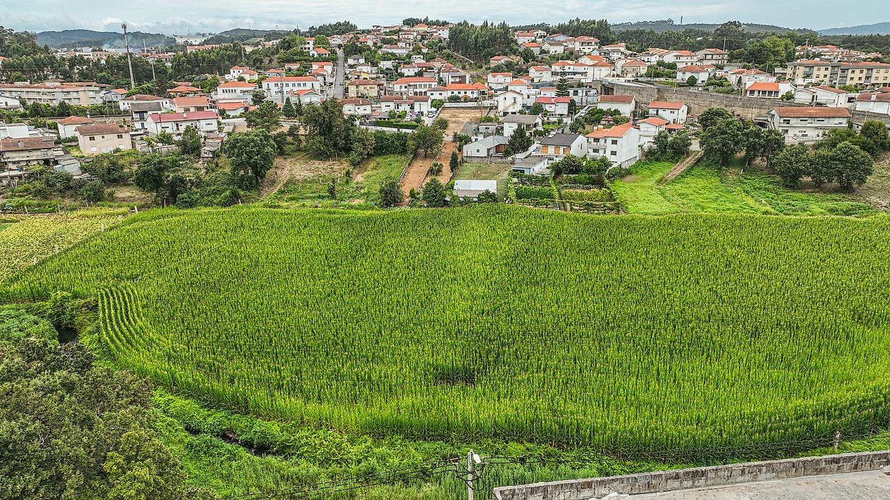 Land for sale in Vila Nova de Famalicão, Portugal — €56,500