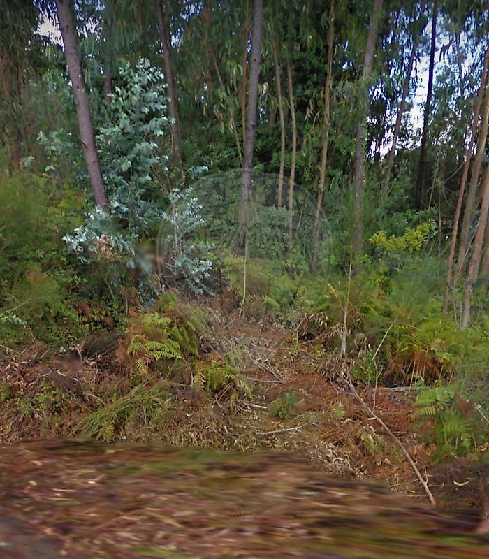 Terreno para venda