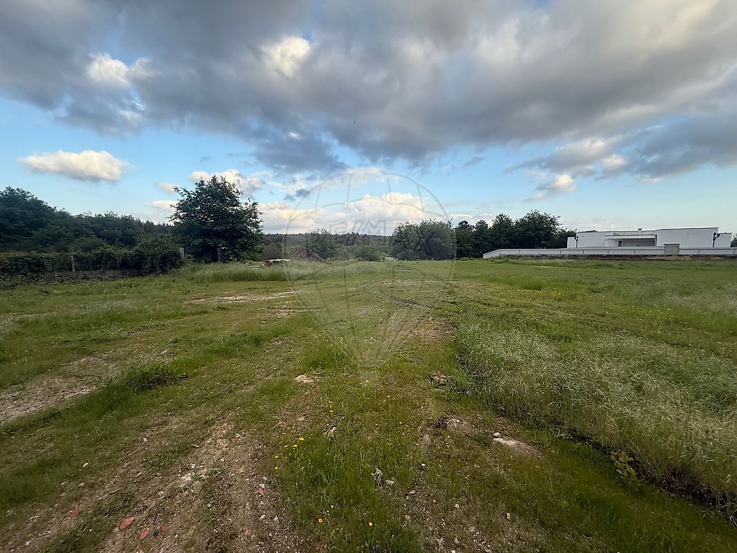 listing-picture-0