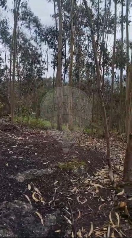 Terreno para venda