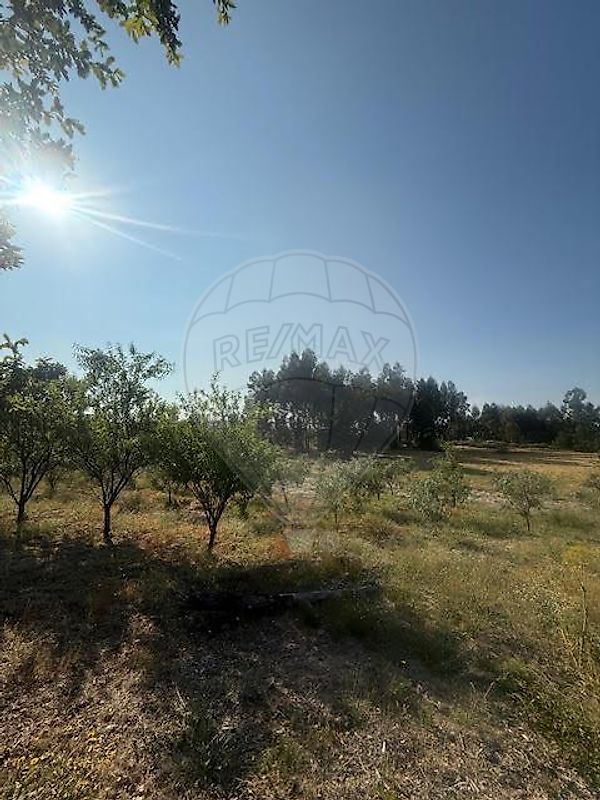 Terreno  para venda