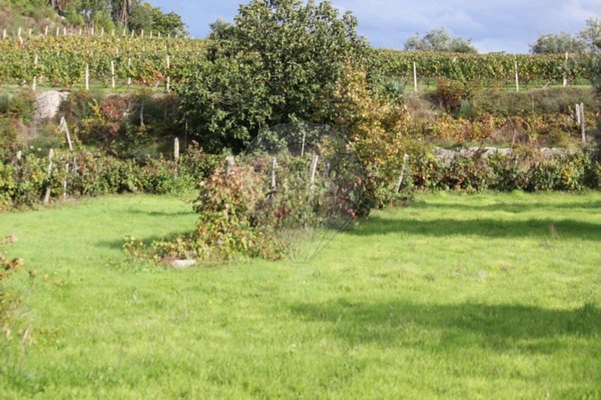 Terreno  para venda