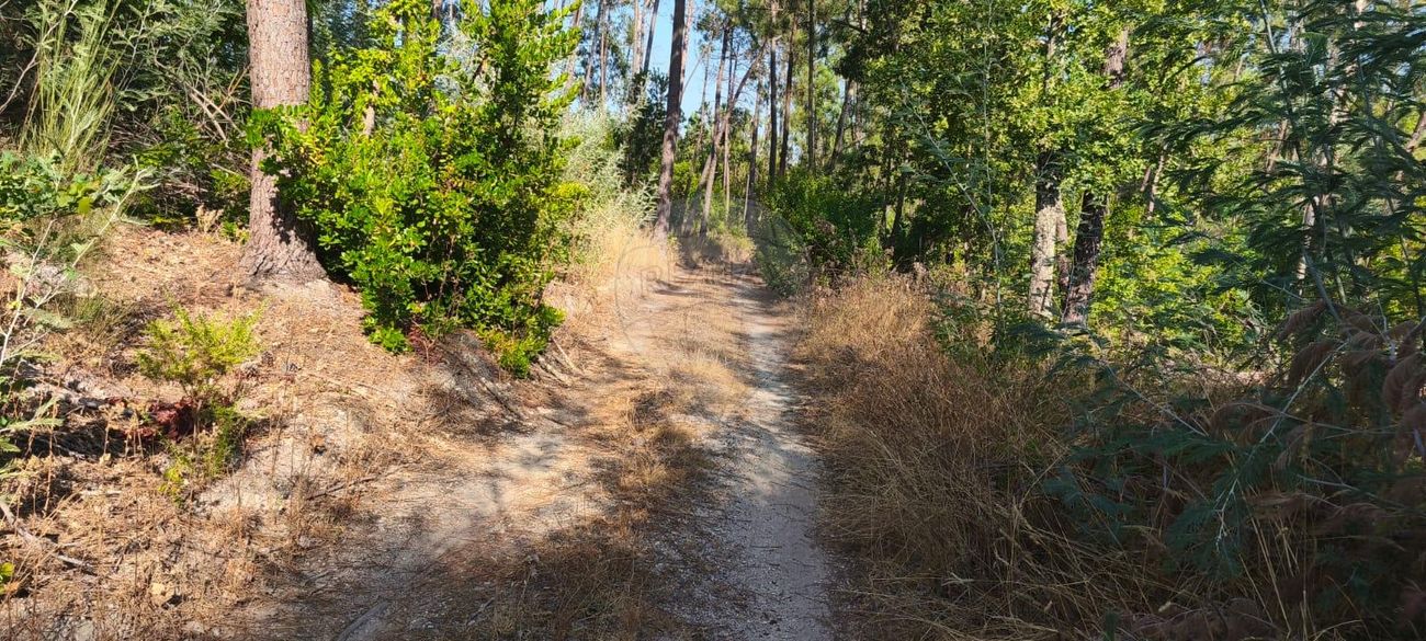 Terreno  para venda