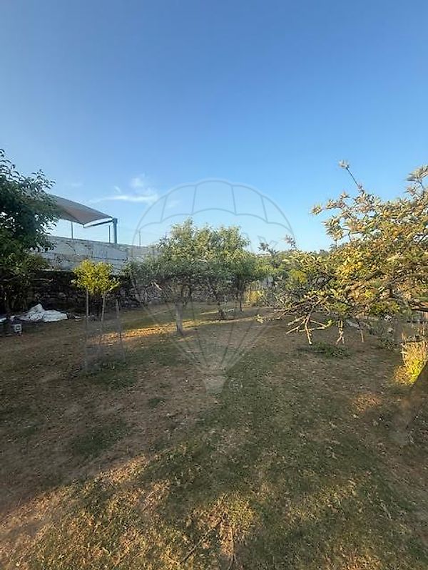 Terreno - Serrazes, São Pedro do Sul, Viseu