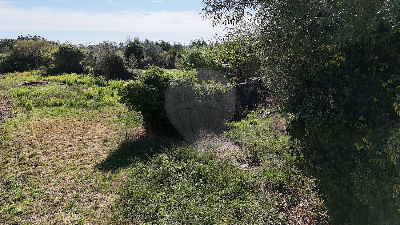 Moradia T1 à venda em Seixo de Gatões, Montemor-o-Velho — foto 16