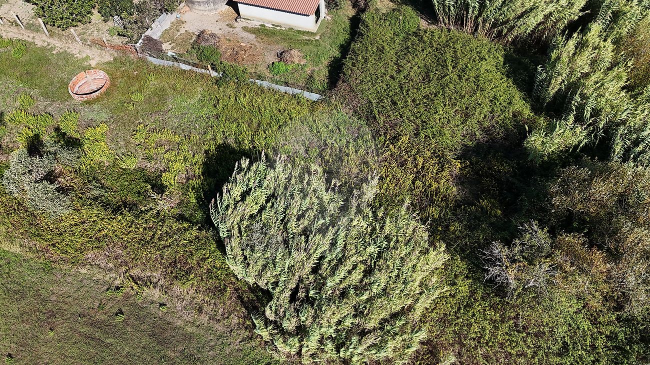 Moradia T1 à venda em Seixo de Gatões, Montemor-o-Velho — foto 8